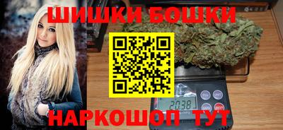 гашик Бийск